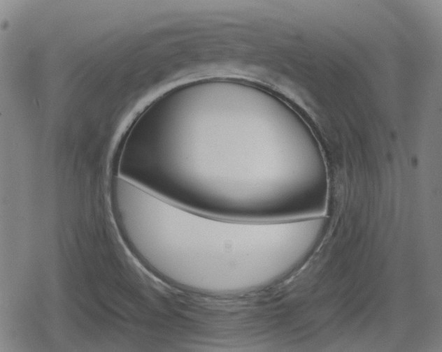 X0000080761508200612150921