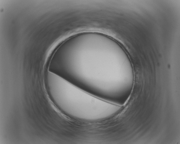 X0000080761511200612150921