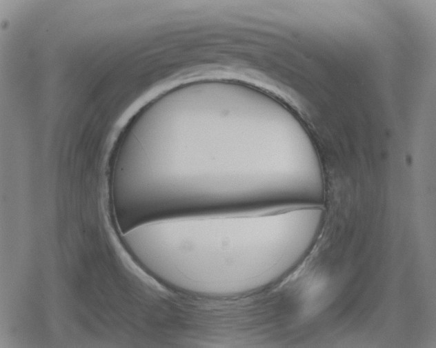 X0000080761518200612150921