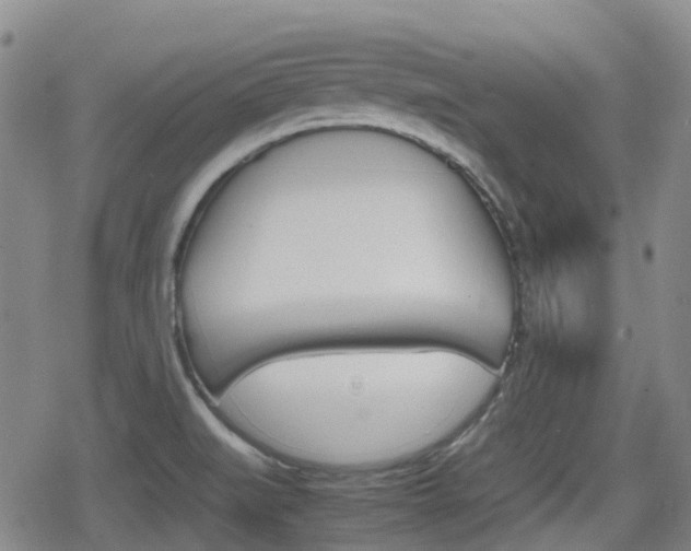 X0000080761519200612150921