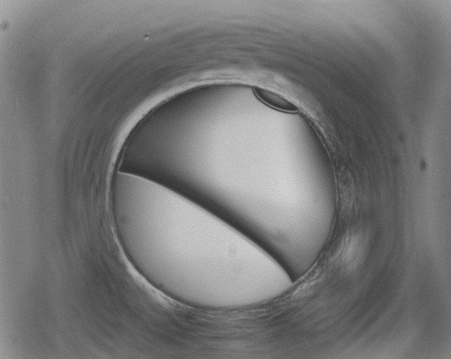 X0000080761527200612150921