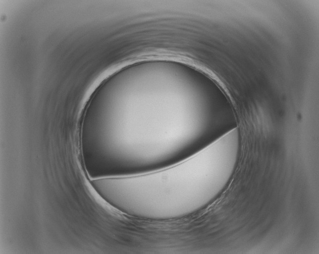 X0000080761531200612150921