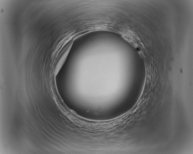 X0000080760001200612151421