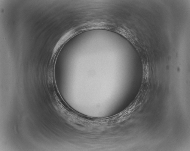 X0000080760004200612151421