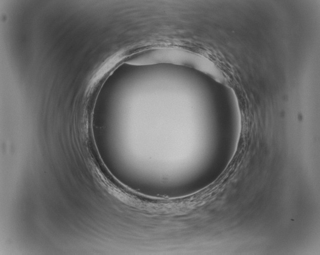 X0000080760005200612151421