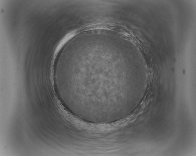 X0000080760006200612151421