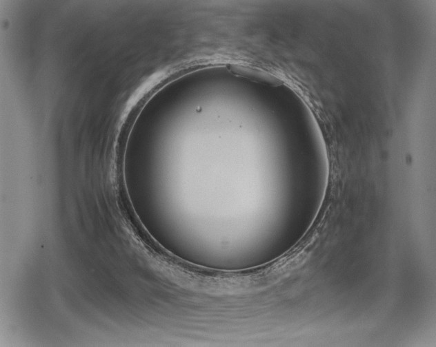 X0000080760008200612151421