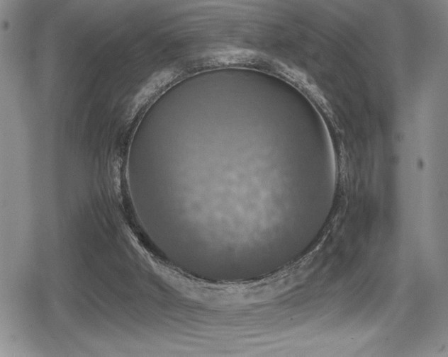 X0000080760010200612151421