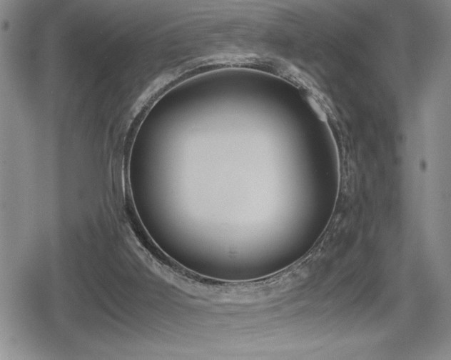 X0000080760011200612151421