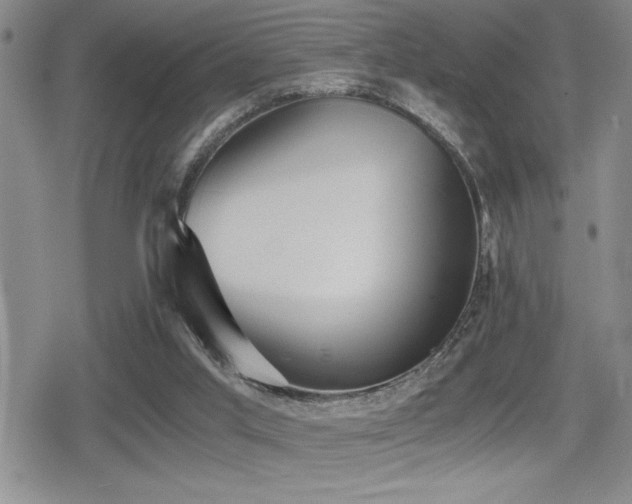 X0000080760013200612151421