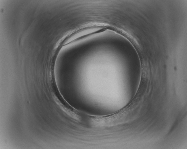 X0000080760015200612151421