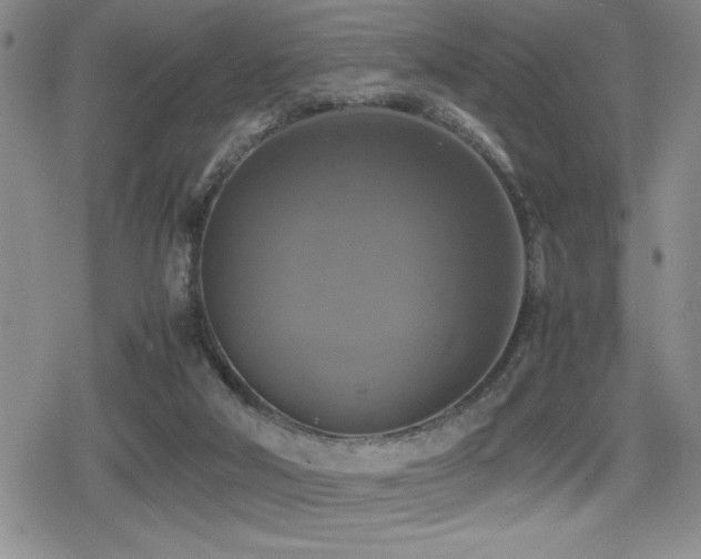 X0000080760018200612151421
