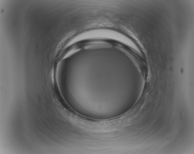 X0000080760019200612151421