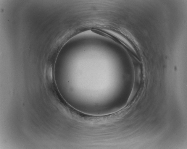 X0000080760021200612151421