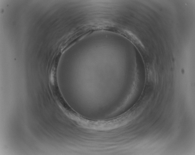 X0000080760026200612151421