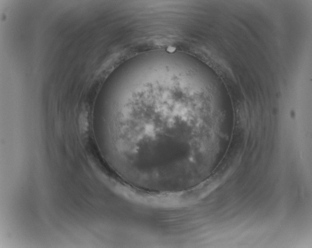 X0000080760032200612151421