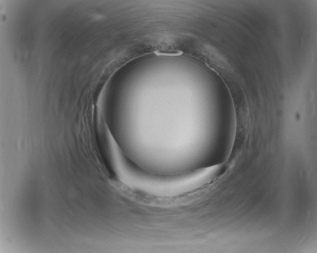 X0000080760037200612151420