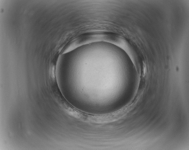 X0000080760041200612151420