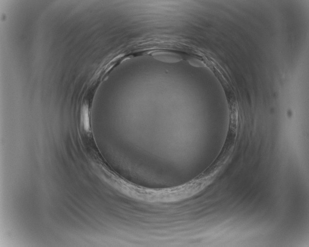 X0000080760046200612151420