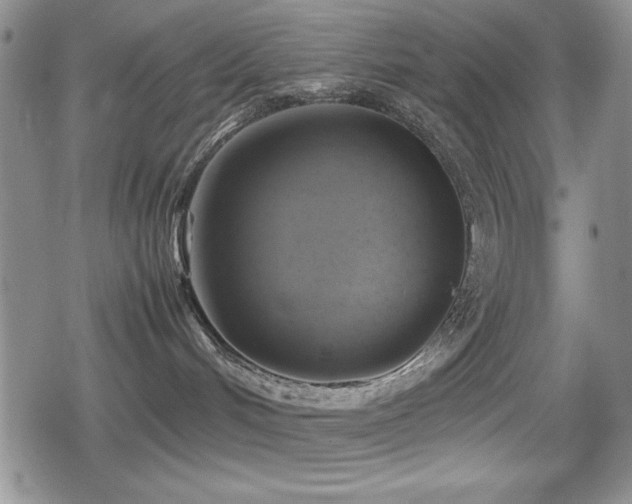 X0000080760048200612151420