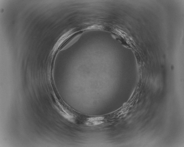 X0000080760051200612151420