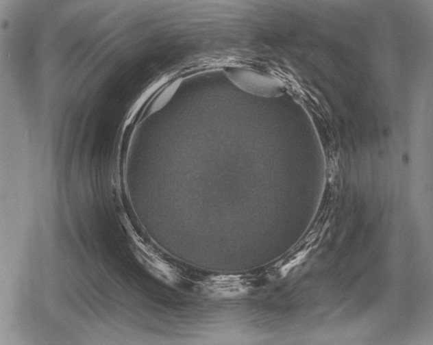 X0000080760052200612151420