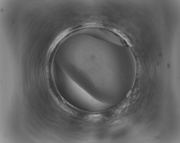 X0000080760055200612151420