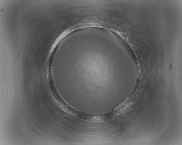 X0000080760056200612151420
