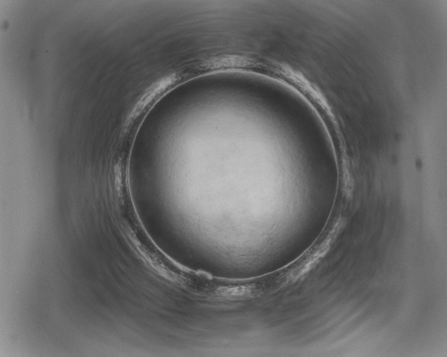 X0000080760057200612151420