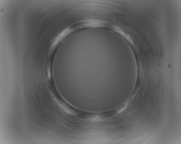 X0000080760062200612151420