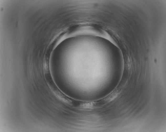 X0000080760084200612151420