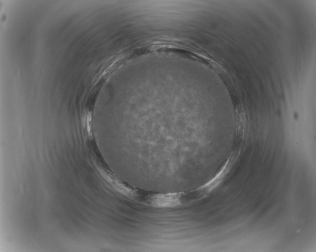 X0000080760094200612151420