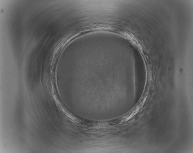 X0000080760097200612151420