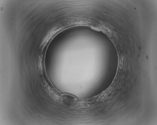 X0000080760098200612151419
