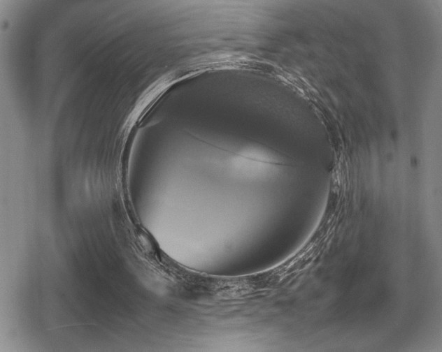 X0000080760099200612151419