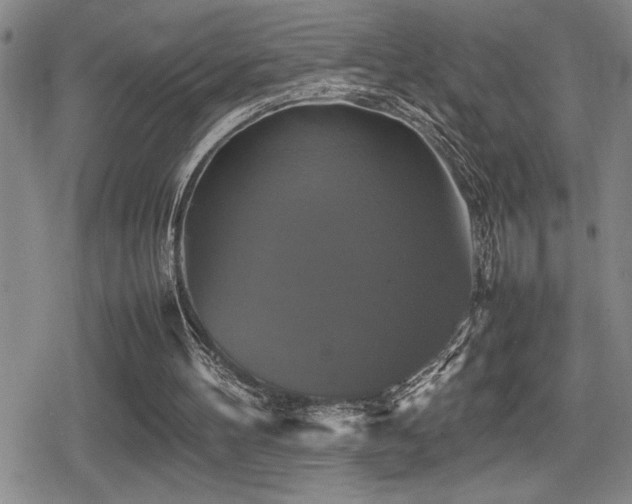 X0000080760100200612151419