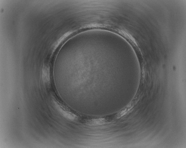 X0000080760108200612151419