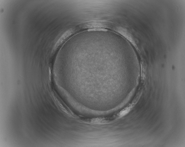 X0000080760109200612151419