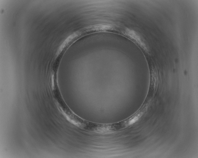 X0000080760110200612151419