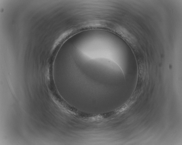 X0000080760112200612151419