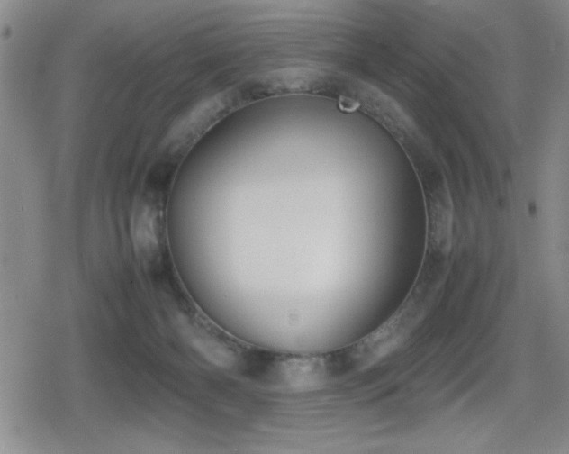 X0000080760126200612151419