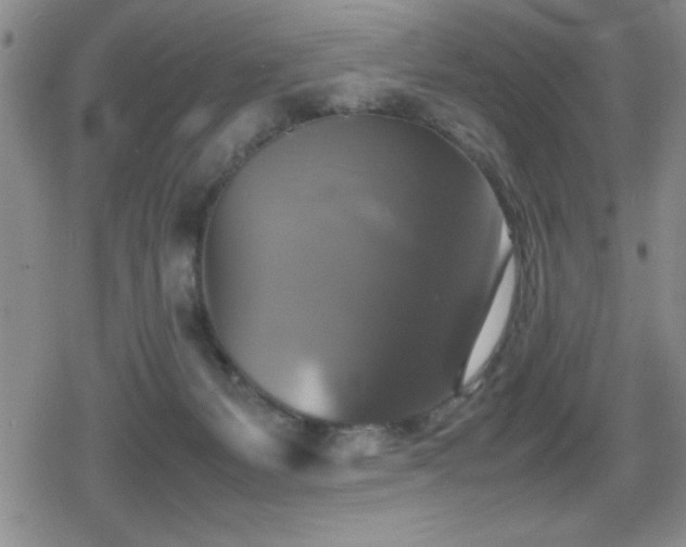 X0000080760127200612151419