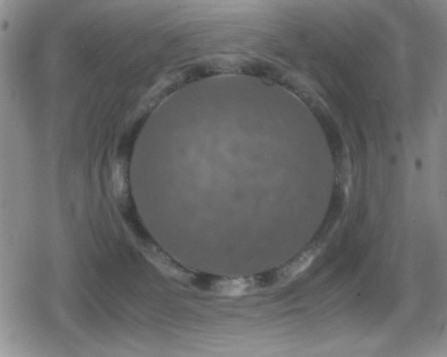 X0000080760131200612151419