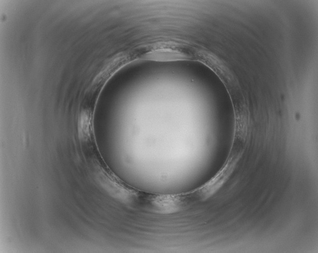 X0000080760142200612151419
