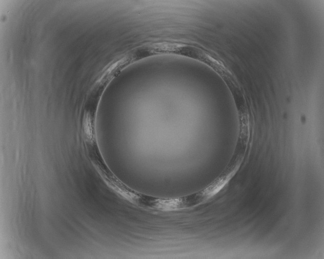 X0000080760143200612151419