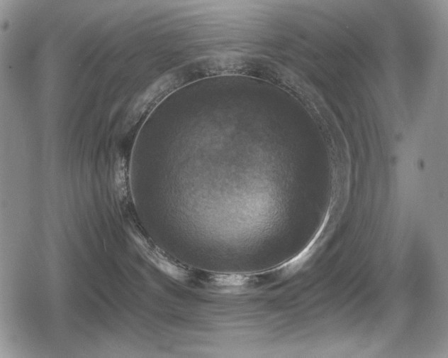X0000080760144200612151419