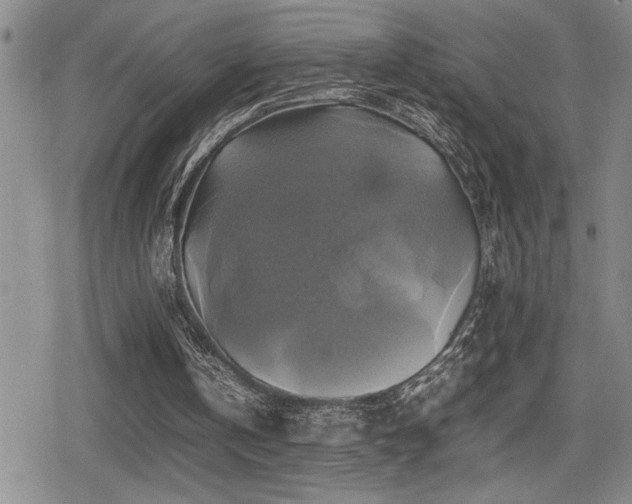 X0000080760146200612151418
