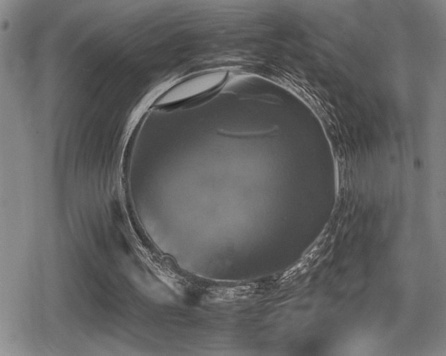 X0000080760147200612151418