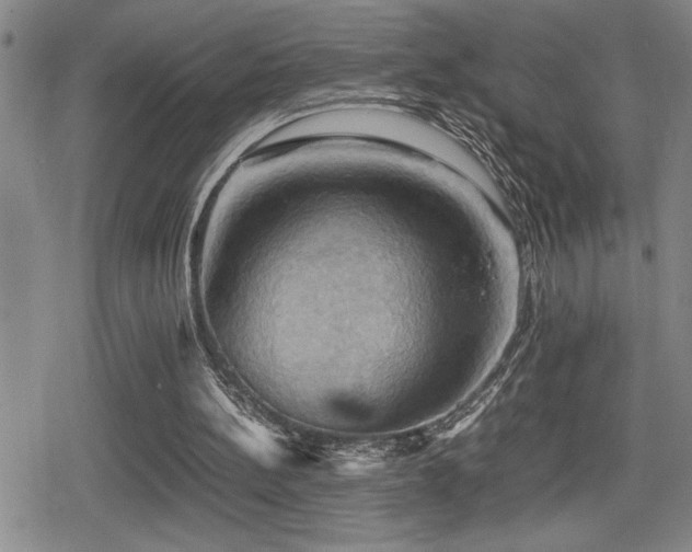 X0000080760148200612151418