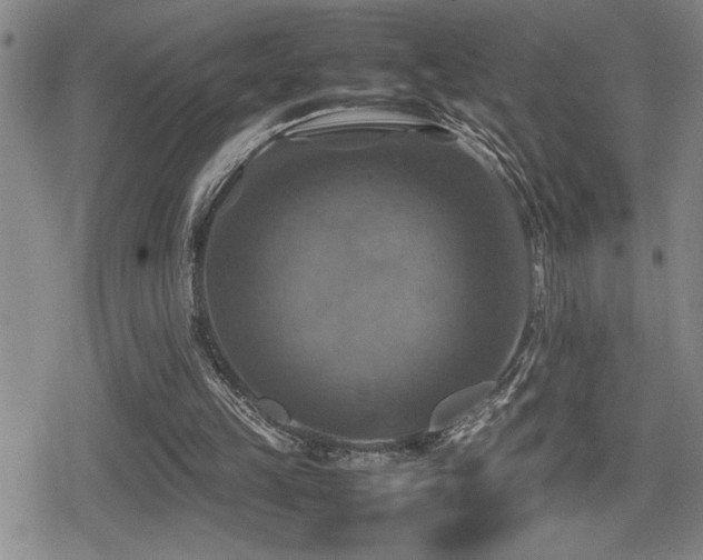 X0000080760149200612151418